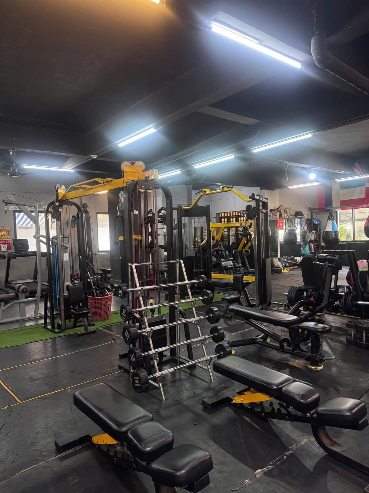 Phòng tập Gym và dàn máy tạ 175 Team